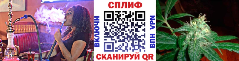 Продажа наркотиков Черноголовка блэк спрут ссылки Меф мяу мяу Галлюциногенные грибы Марихуана ГАШИШ APVP