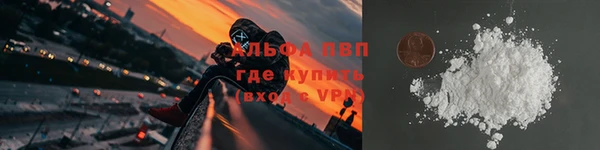гидра Алексин